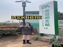 De lader van gelijkstroom ev