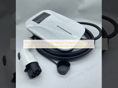 7KW 220V AC EV Oplader Wallbox Laadstation met 4,3-inch Kleurenscherm Gegalvaniseerd Staal en Gehard Glas