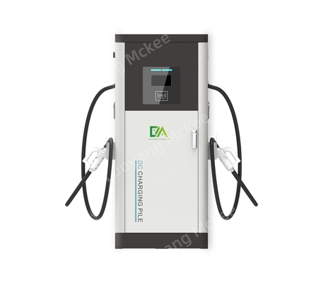 Dc Double Gun 60KW/80kW/120KW/160KW Huishoudelijk Commercieel elektrisch voertuig Snel opladen